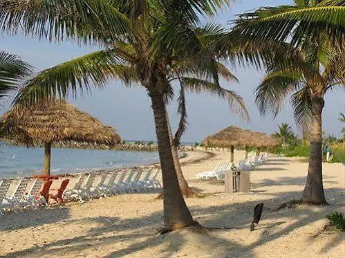 ***  The Marlin At Taino Beach Resort Freeport Bahamas